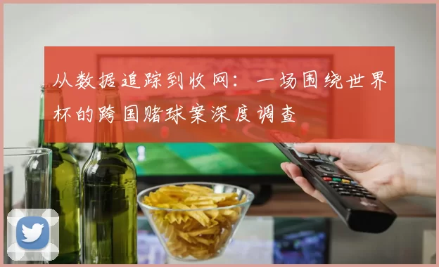 从数据追踪到收网:一场围绕世界杯的跨国赌球案深度调查