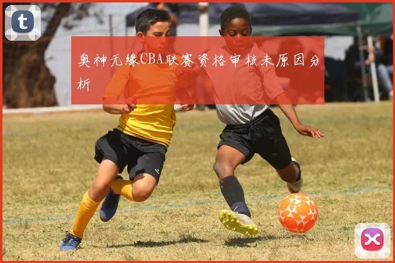 奥神无缘CBA联赛资格审核未原因分析