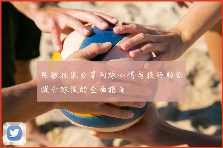 陈敏独家分享网球心得与技巧助你提升球技的全面指南