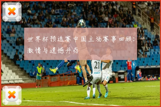 世界杯预选赛中国主场赛事回顾:激情与遗憾并存