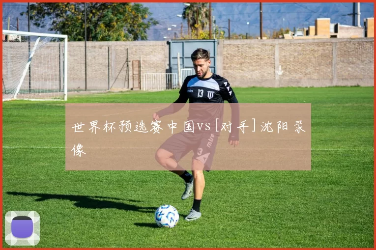 世界杯预选赛中国vs[对手]沈阳录像