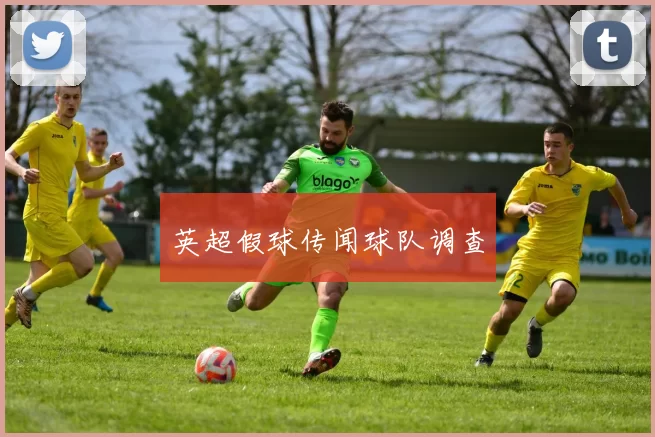 英超假球传闻球队调查