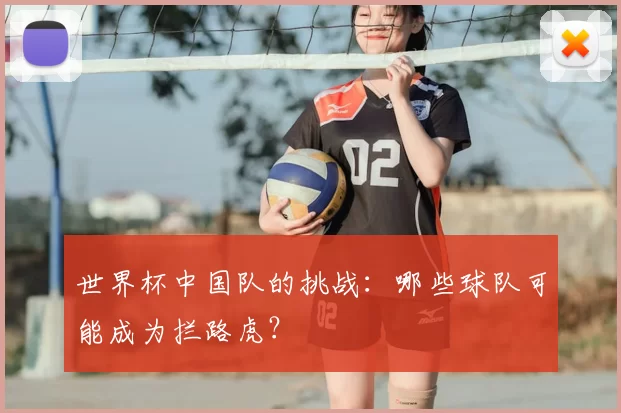 世界杯中国队的挑战:哪些球队可能成为拦路虎?