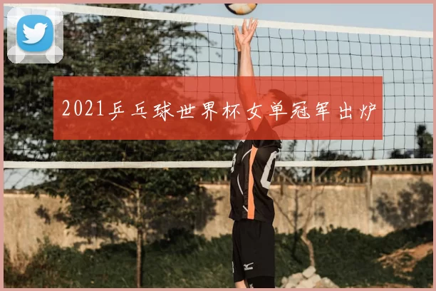 2021乒乓球世界杯女单冠军出炉
